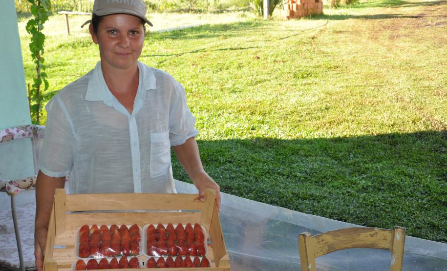 Agricultora triplica produção de morangos orgânicos com crédito da Fomento Paraná Os agricultores Neliria Huff e Valdemar Ramos, de Bituruna, no sul do estado, receberam crédito da Fomento Paraná e triplicaram a produção e colheita de morangos orgânicos.