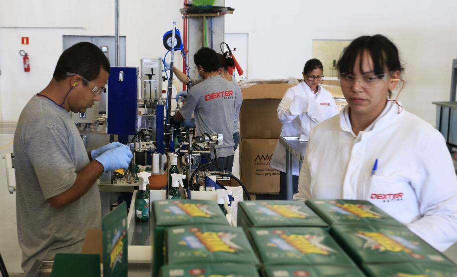 Empresa lança larvicida doméstico inédito com apoio da Fomento Paraná Linha de produção da DEXTER LATINA, que produz o multi-inseticida STRAIK, que mata as larvas do mosquito da dengue. Curitiba, 30-07-15.