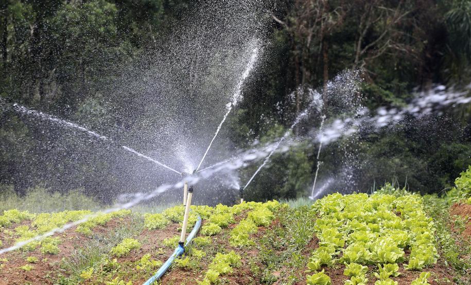 Sistema de irrigação adquirido pela produtora rural de Quitandinha, Sirlei Aparecida de Moura, por meio do financiamento da FOMENTO PARANÁ.