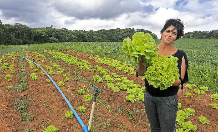 A produtora rural de Quitandinha, Sirlei Aparecida de Moura, mostra sistema de irrigação adquirido através do financiamento da FOMENTO PARANÁ.