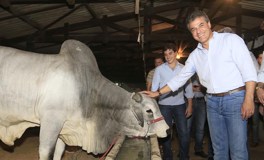 O diretor de Mercado e Relações Institucionais da Fomento Paraná, Luiz Renato Hauly, acompanha o governador Beto Richa em visita a expositores da ExpoLondrina.