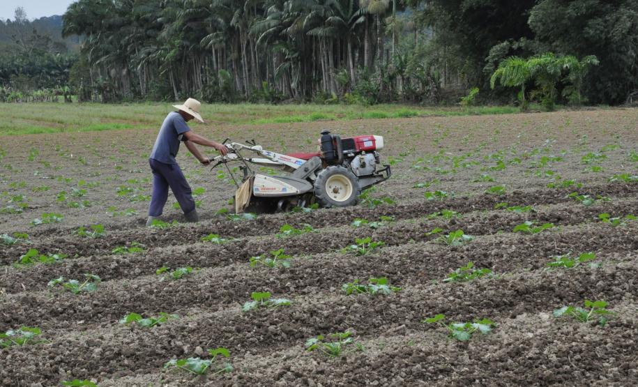 Crédito ajudou agricultores a retomar a produção após enchentes no litoral Empreendimentos afetados pelas fortes chuvas que atingiram Morretes, no litoral do estado, em março de 2011, comemoram a retomada plena das atividades a partir do crédito disponibilizado pela Fomento Paraná. Na imagem, agricultor faz aragem do solo.
