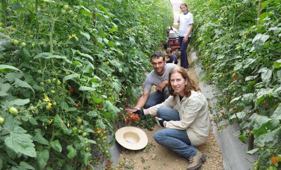 Crédito ajudou agricultores a retomar a produção após enchentes no litoral Empreendimentos afetados pelas fortes chuvas que atingiram Morretes, no litoral do estado, em março de 2011, comemoram a retomada plena das atividades a partir do crédito disponibilizado pela Fomento Paraná. Na imagem, a família do agricultor Altamir Bontorin com a engenheira agrônoma da Emater, Ruth Pires, que prestou suporte técnico à família.