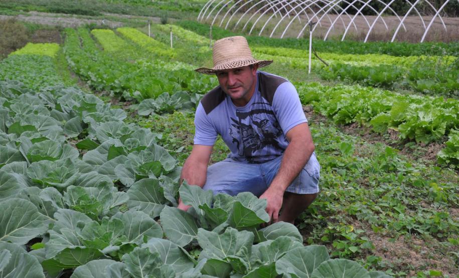 Crédito ajudou agricultores a retomar a produção após enchentes no litoral Empreendimentos afetados pelas fortes chuvas que atingiram Morretes, no litoral do estado, em março de 2011, comemoram a retomada plena das atividades a partir do crédito disponibilizado pela Fomento Paraná. Na imagem, o agricultor Ezequiel Petenusso na plantação de hortaliças.