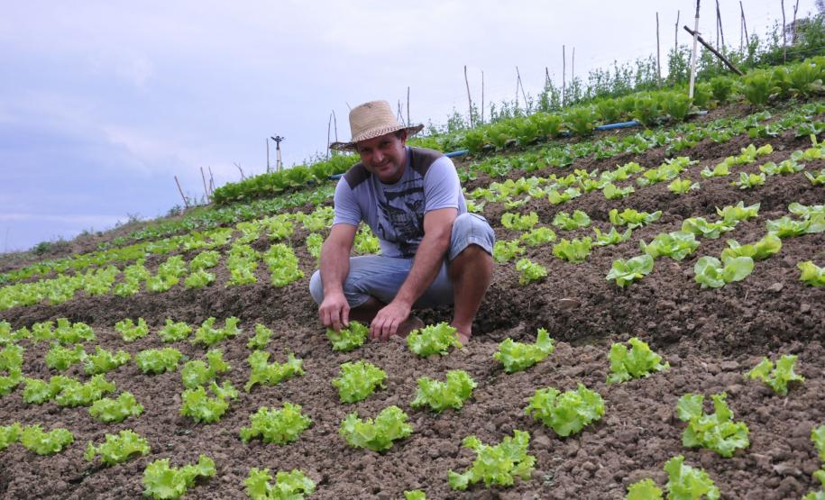 Crédito ajudou agricultores a retomar a produção após enchentes no litoral Empreendimentos afetados pelas fortes chuvas que atingiram Morretes, no litoral do estado, em março de 2011, comemoram a retomada plena das atividades a partir do crédito disponibilizado pela Fomento Paraná. Na imagem, o agricultor Ezequiel Petenusso na plantação de hortaliças.