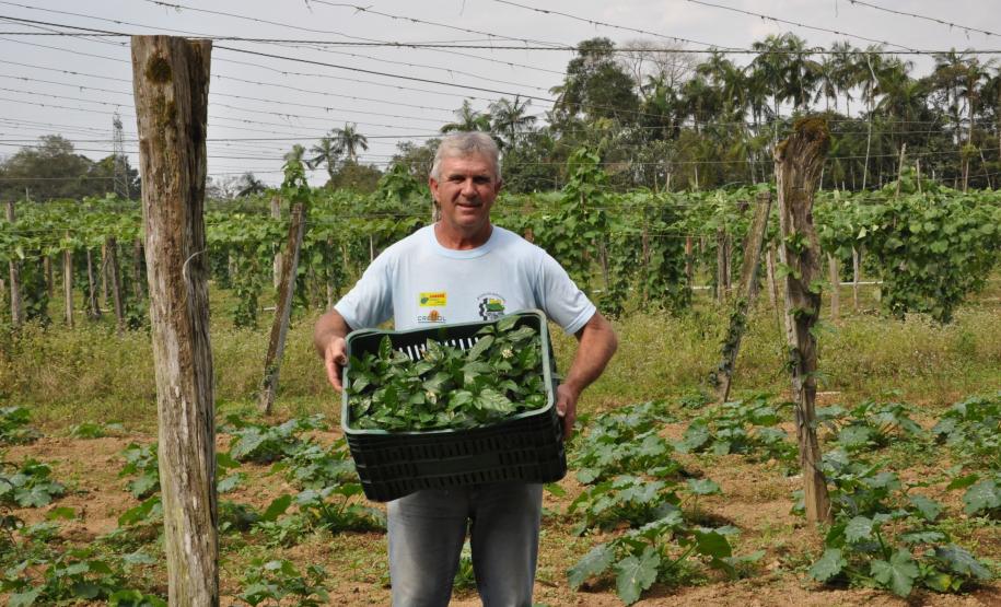 Crédito ajudou agricultores a retomar a produção após enchentes no litoral Empreendimentos afetados pelas fortes chuvas que atingiram Morretes, no litoral do estado, em março de 2011, comemoram a retomada plena das atividades a partir do crédito disponibilizado pela Fomento Paraná. Na imagem, o agricultor Wilson Simão com mudas de hortaliças.