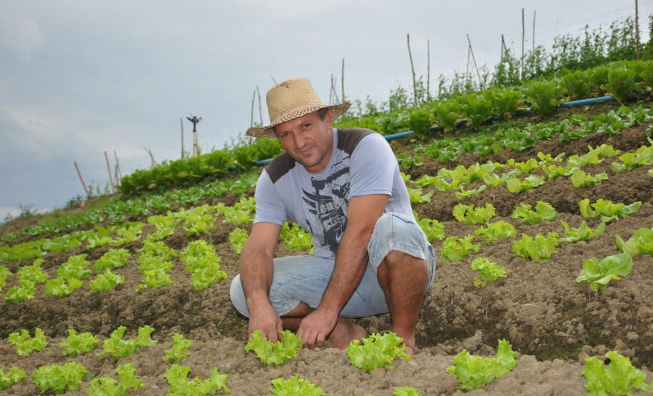 Crédito ajudou agricultores a retomar a produção após enchentes no litoral Empreendimentos afetados pelas fortes chuvas que atingiram Morretes, no litoral do estado, em março de 2011, comemoram a retomada plena das atividades a partir do crédito disponibilizado pela Fomento Paraná. Na imagem, o agricultor Ezequiel Petenusso na plantação de hortaliças.