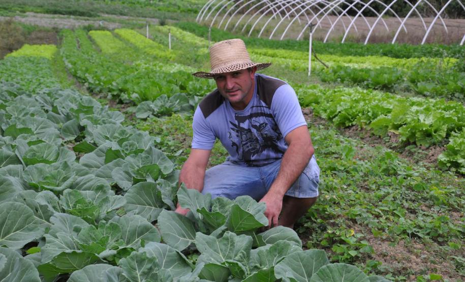 Crédito ajudou agricultores a retomar a produção após enchentes no litoral Empreendimentos afetados pelas fortes chuvas que atingiram Morretes, no litoral do estado, em março de 2011, comemoram a retomada plena das atividades a partir do crédito disponibilizado pela Fomento Paraná. Na imagem, o agricultor Ezequiel Petenusso na plantação de hortaliças.