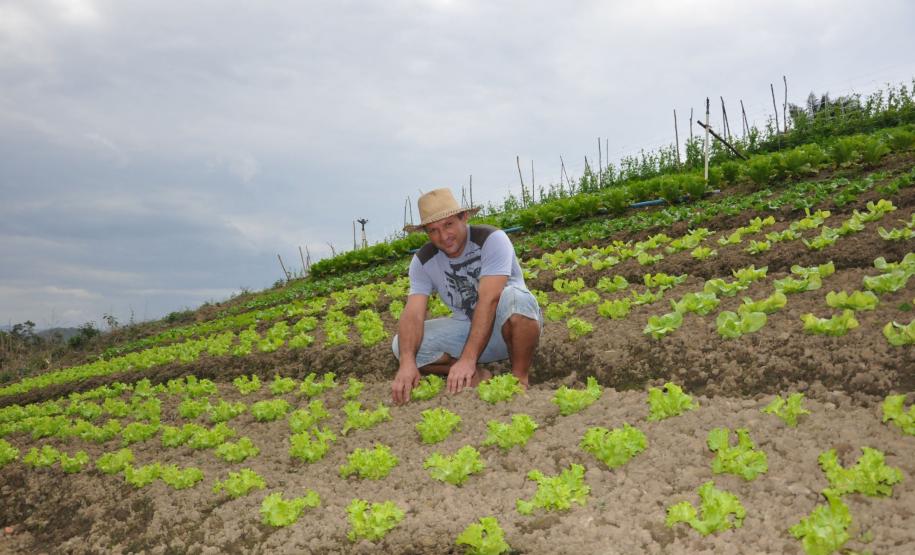 Crédito ajudou agricultores a retomar a produção após enchentes no litoral Empreendimentos afetados pelas fortes chuvas que atingiram Morretes, no litoral do estado, em março de 2011, comemoram a retomada plena das atividades a partir do crédito disponibilizado pela Fomento Paraná. Na imagem, o agricultor Ezequiel Petenusso na plantação de hortaliças.