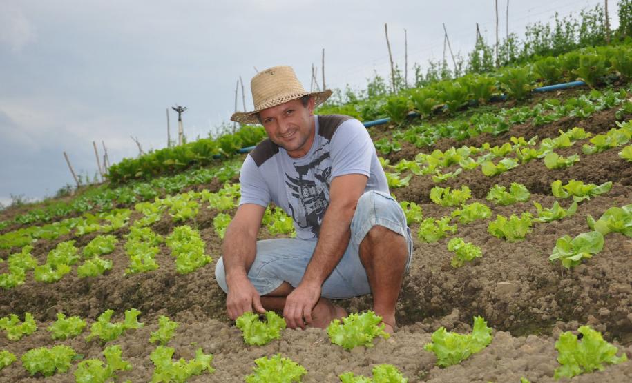 Crédito ajudou agricultores a retomar a produção após enchentes no litoral Empreendimentos afetados pelas fortes chuvas que atingiram Morretes, no litoral do estado, em março de 2011, comemoram a retomada plena das atividades a partir do crédito disponibilizado pela Fomento Paraná. Na imagem, o agricultor Ezequiel Petenusso na plantação de hortaliças.