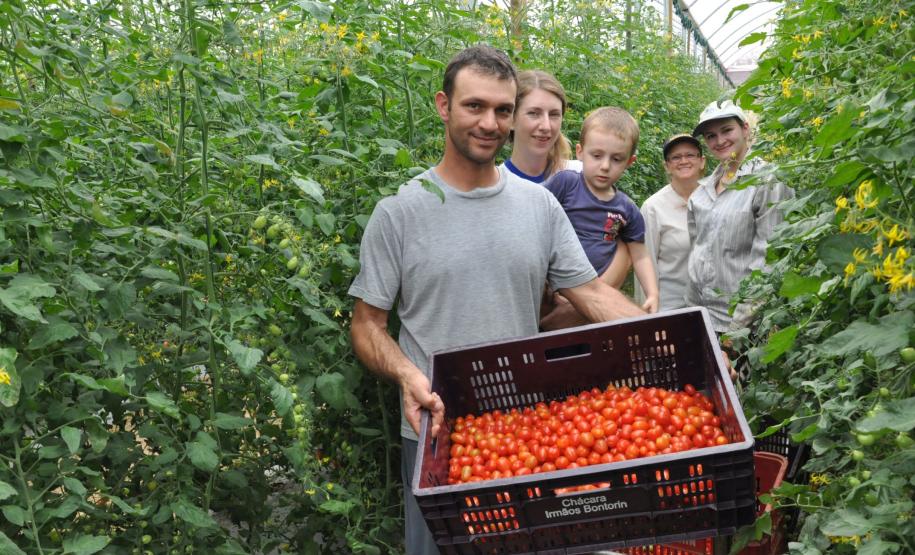A Fomento Paraná, instituição financeira de desenvolvimento do Governo do Estado, contratou até outubro R$ 45 milhões em operações de microcrédito, batendo, em dez meses, a meta para todo o ano de 2016. O valor alcançado de janeiro a outubro é também superior em quase 30% ao contratado em todo o ano de 2015, que foi de R$ 35 milhões. Na imagem, família do agricultor Altamir Bontorin, de Morretes, que buscou financiamento para a lavoura.