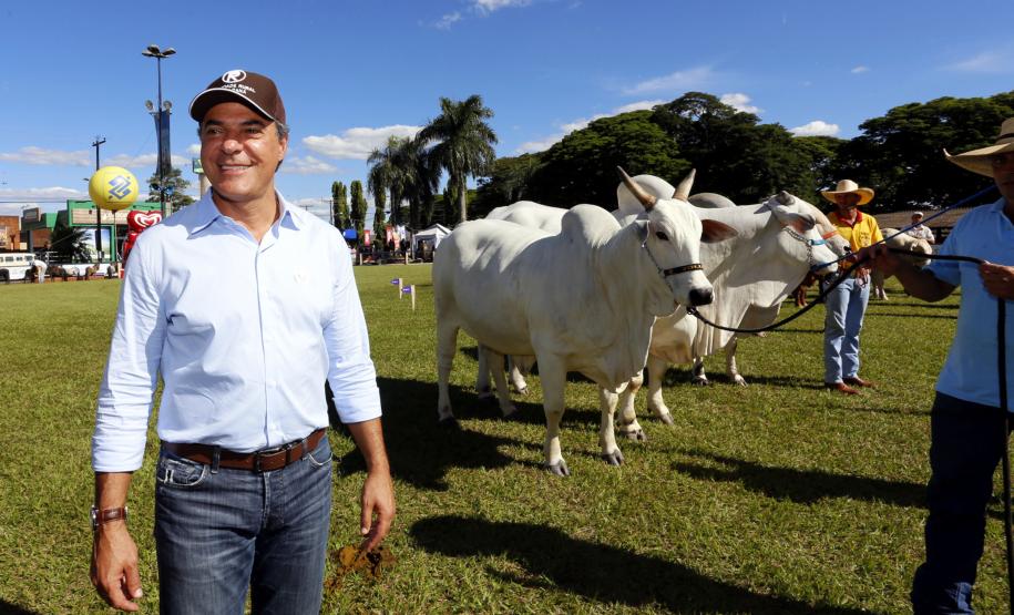 A Fomento Paraná é uma das patrocinadoras da Exposição Agropecuária e Industrial de Londrina que será aberta oficialmente nesta sexta-feira (31), no Parque Governador Ney Braga, em Londrina. O evento, que vai até o dia 9 de abril, tem como tema deste ano “Agronegócio, Tecnologia e os Novos Horizontes”.