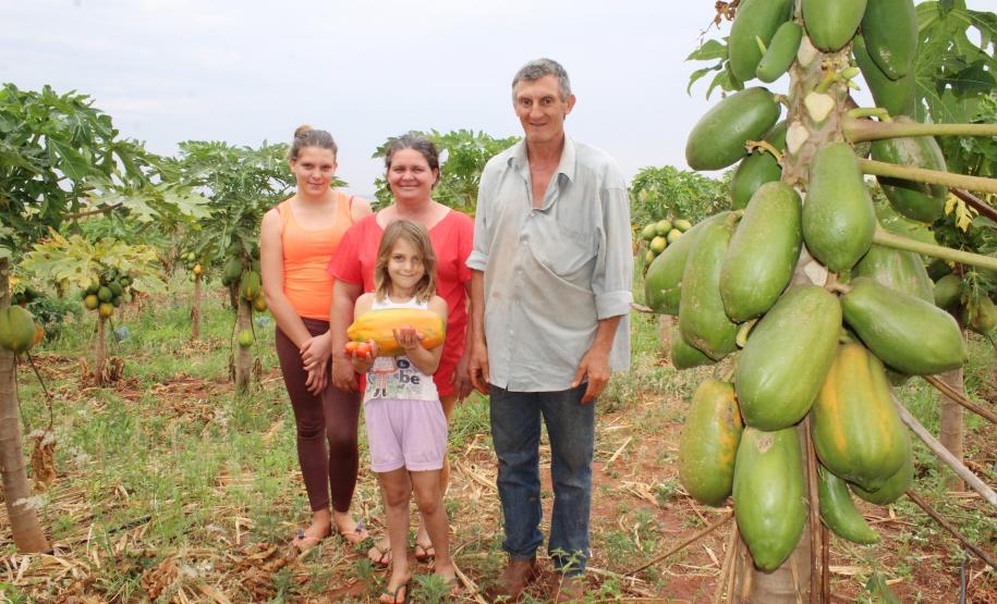 Com implantação de sistema de gotejamento, financiado pela Fomento Paraná, a plantação da família do agricultor Itacir Caverzan passou a receber irrigação constante, o que possibilitou plantar frutas como maracujá, melancia e abacaxi.