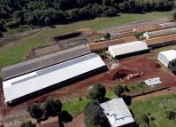 Energia renovável e pecuária: BRDE liberou R$ 305 milhões no Banco do Agricultor Paranaense
