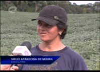 Sirlei vislumbrou no crédito uma oportunidade para melhorar a produtividade do pequeno sítio onde vive com o marido e oito filhos. Ela mantém uma pequena produção de verduras e legumes e pegou o dinheiro para instalar um sistema de irrigação na horta.