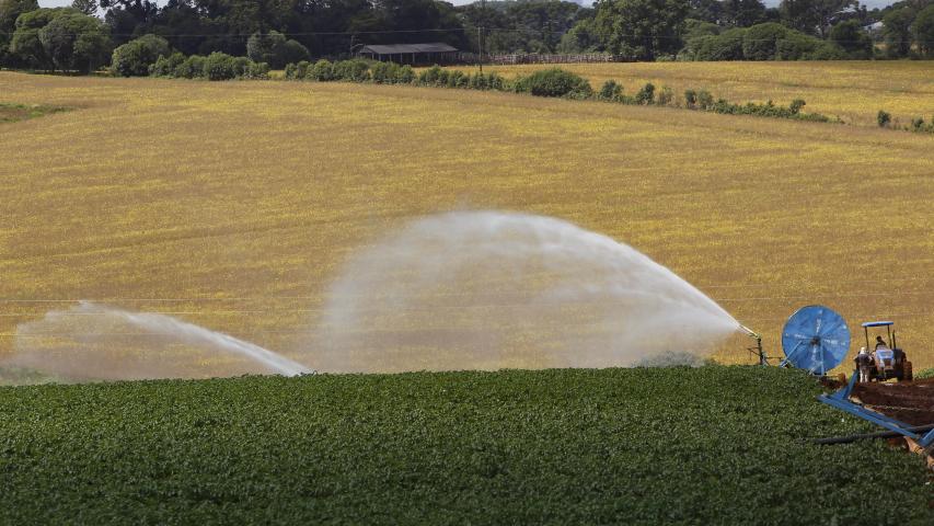 Irrigação em lavoura de batatas
